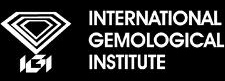 logo-igi